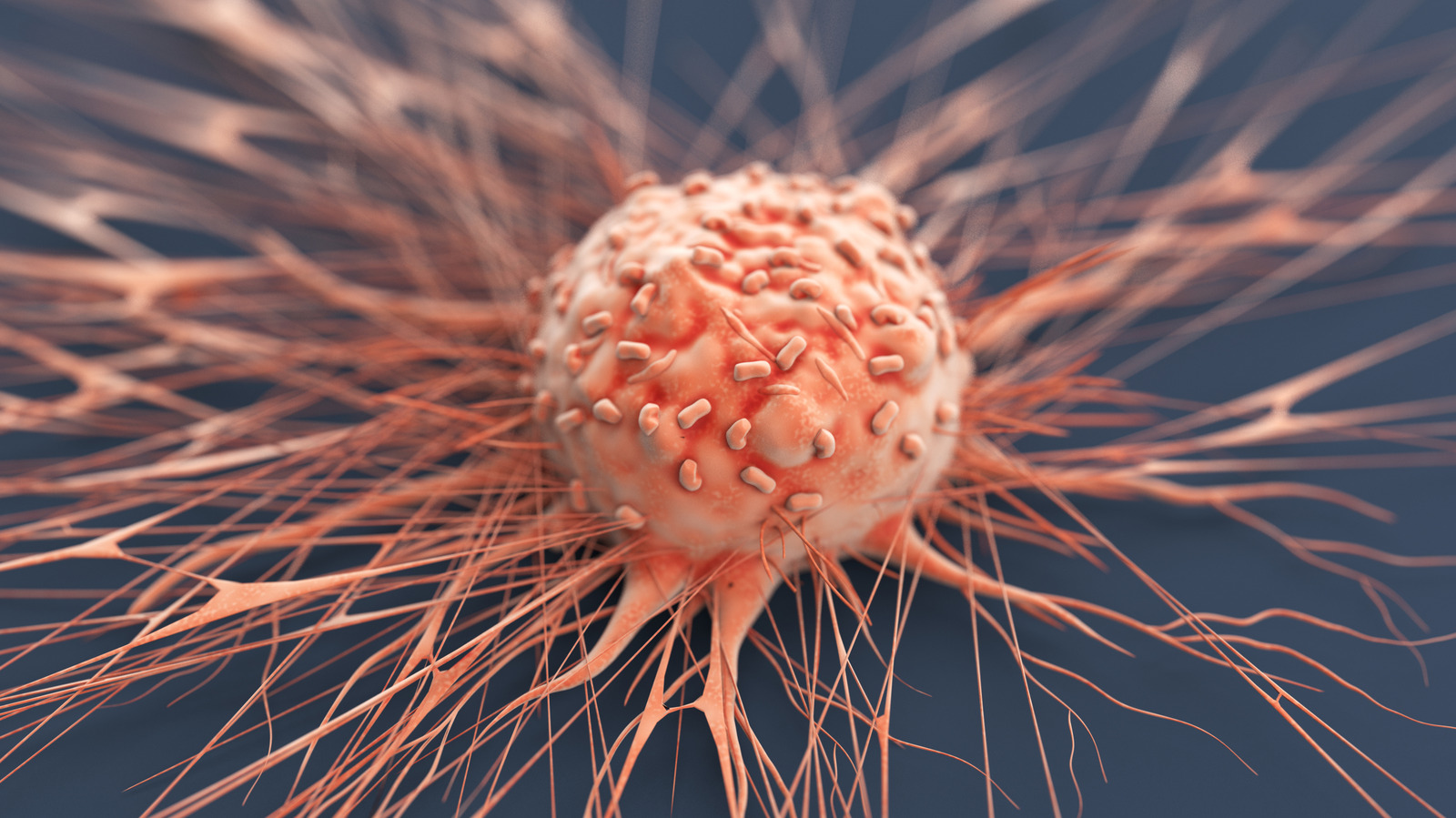 Les scientifiques affirment que cette protéine ancienne pourrait être une arme puissante dans la lutte contre le cancer