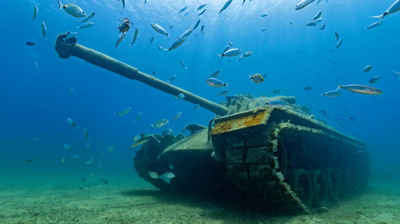 Char militaire coulé servant de récif artificiel avec des poissons nageant tout autour