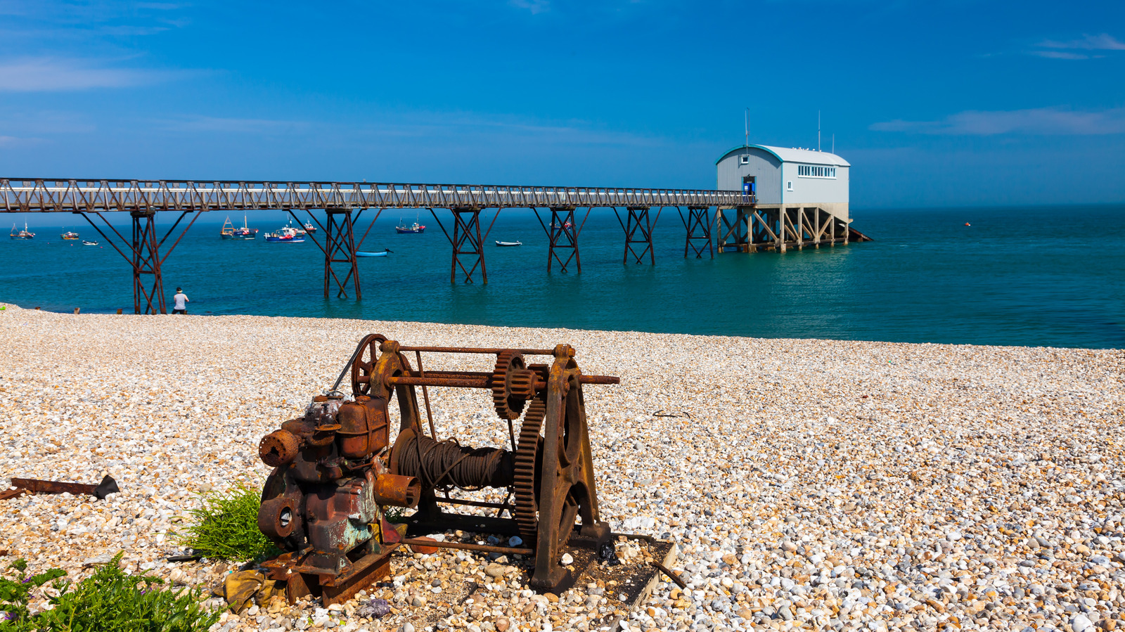 Entre Portsmouth et Worthing se trouve le joyau balnéaire de l'Angleterre avec des plages de galets et des fruits de mer frais