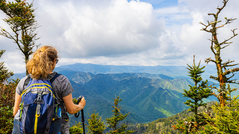 randonneur dans le parc national des Great Smoky Mountains