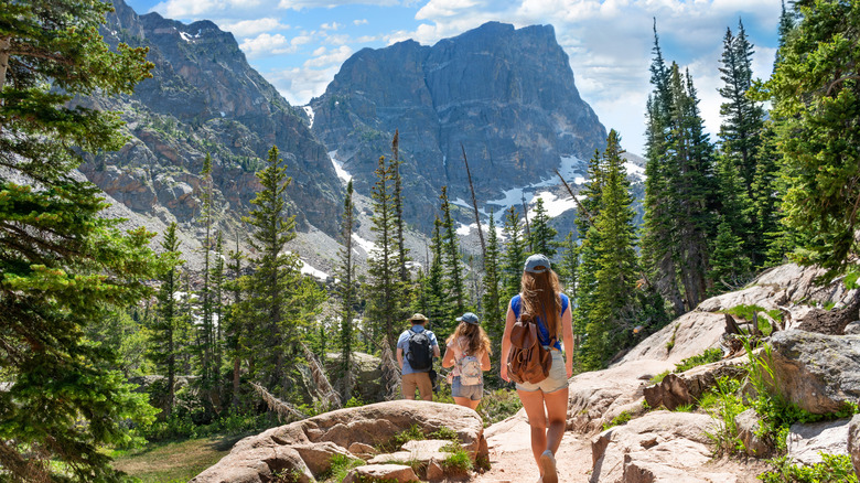 groupe de randonneurs montagnes Rocheuses