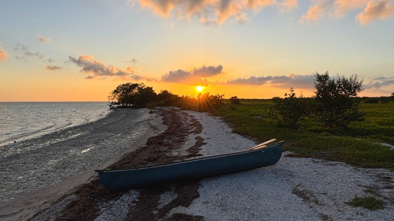 Canoë sur une plage isolée des Everglades
