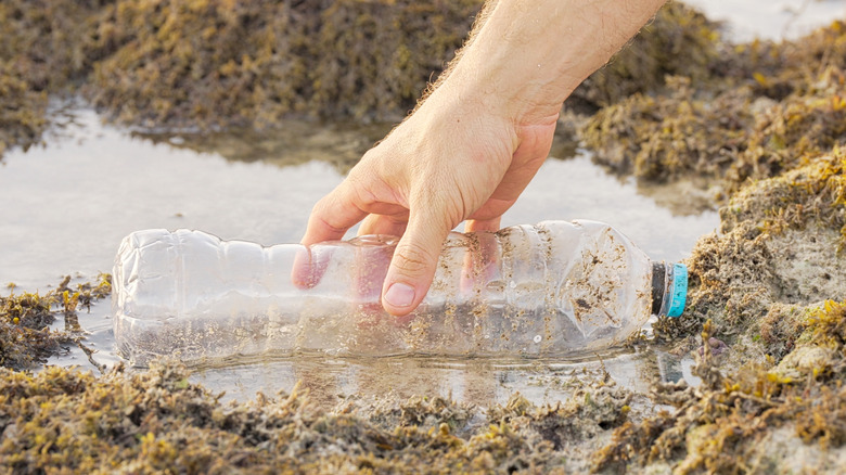 Une main blanche atteint une bouteille d'eau en plastique jetée dans un bassin à marée