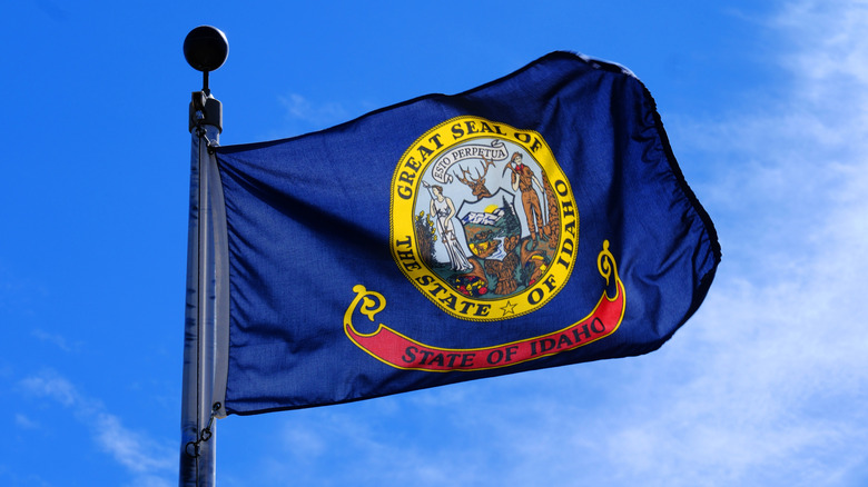Vue du drapeau de l'Idaho agitant dans le vent
