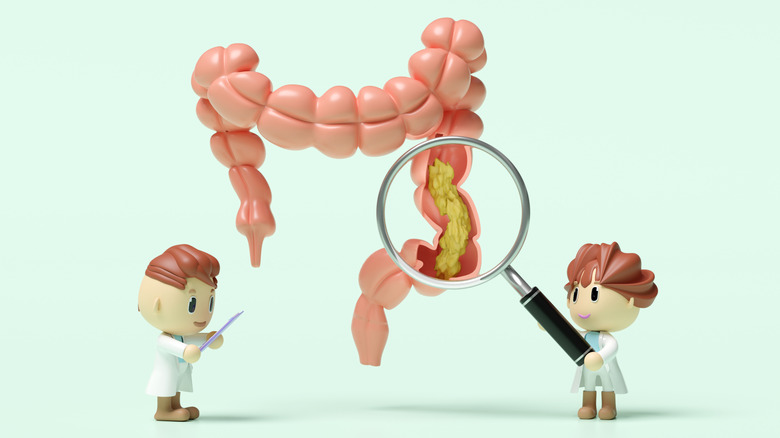 Concept de mini médecins regardant un modèle d'intestins géants sous une loupe géante