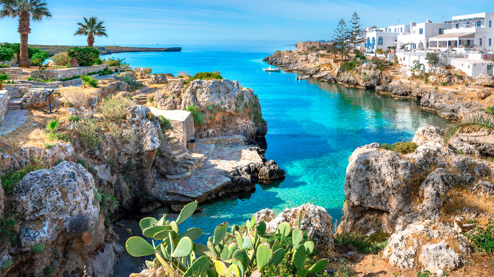 Oubliez Athènes, visitez le paradis isolé de la Grèce avec de l'eau cristalline, des fruits de mer frais et moins de foule