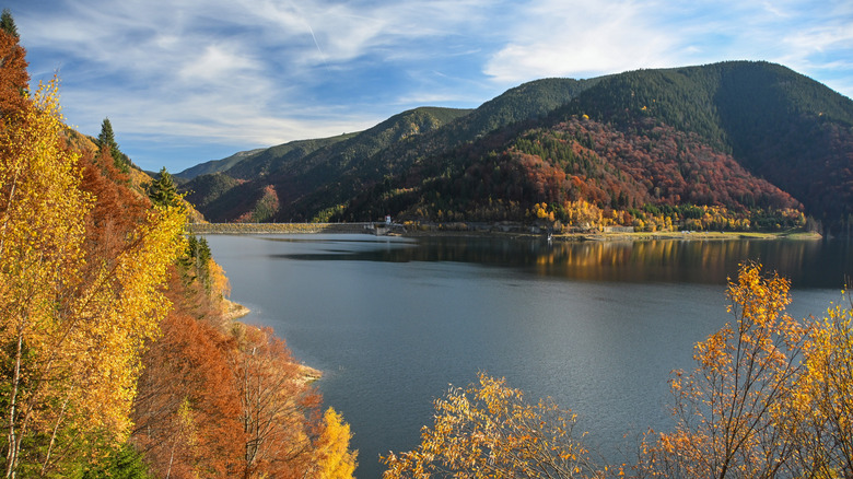 Des arbres automnaux entourent un réservoir de montagne