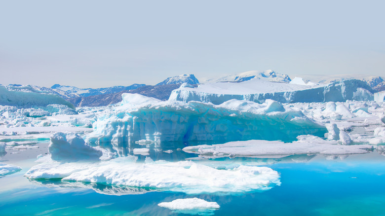 Fonte des icebergs et du bord des glaciers dans l'océan