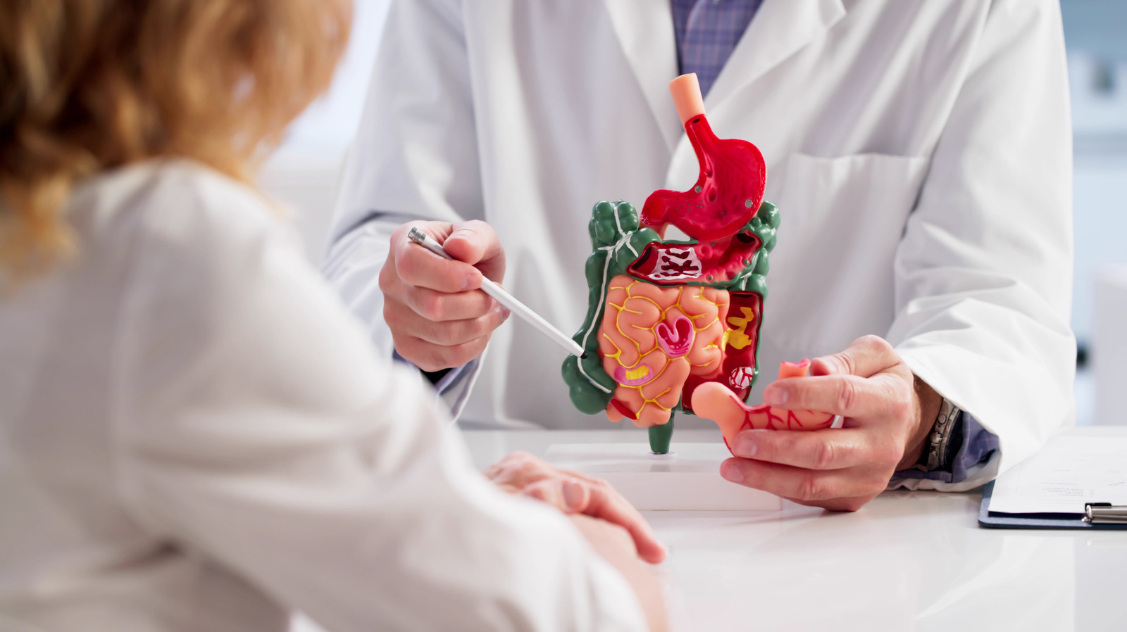 Le mythe courant sur la santé du côlon qui a été démystifié par la science