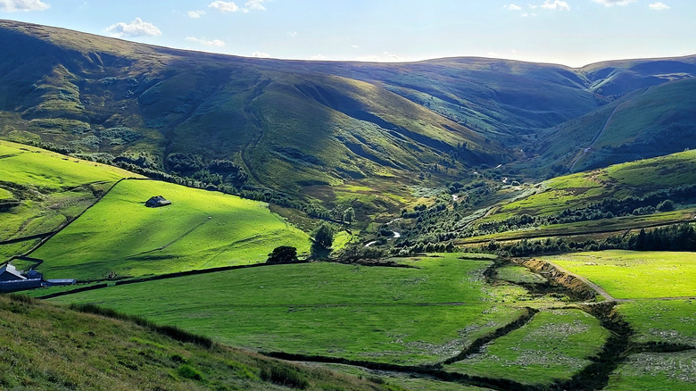 Des collines verdoyantes, des champs et une vallée fluviale dans la forêt de Bowland.