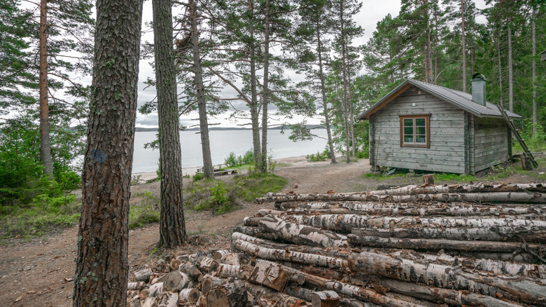 Une cabane parmi les arbres dans le parc national de Skuleskogen en Suède