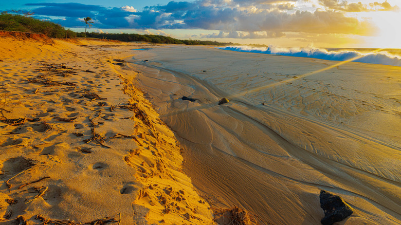 Rayons de soleil de l'après-midi sur le rivage sablonneux de la plage de Popahaku