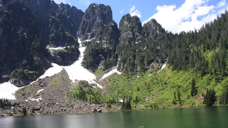 falaises abruptes de montagne avec des conifères et de l'herbe, lac