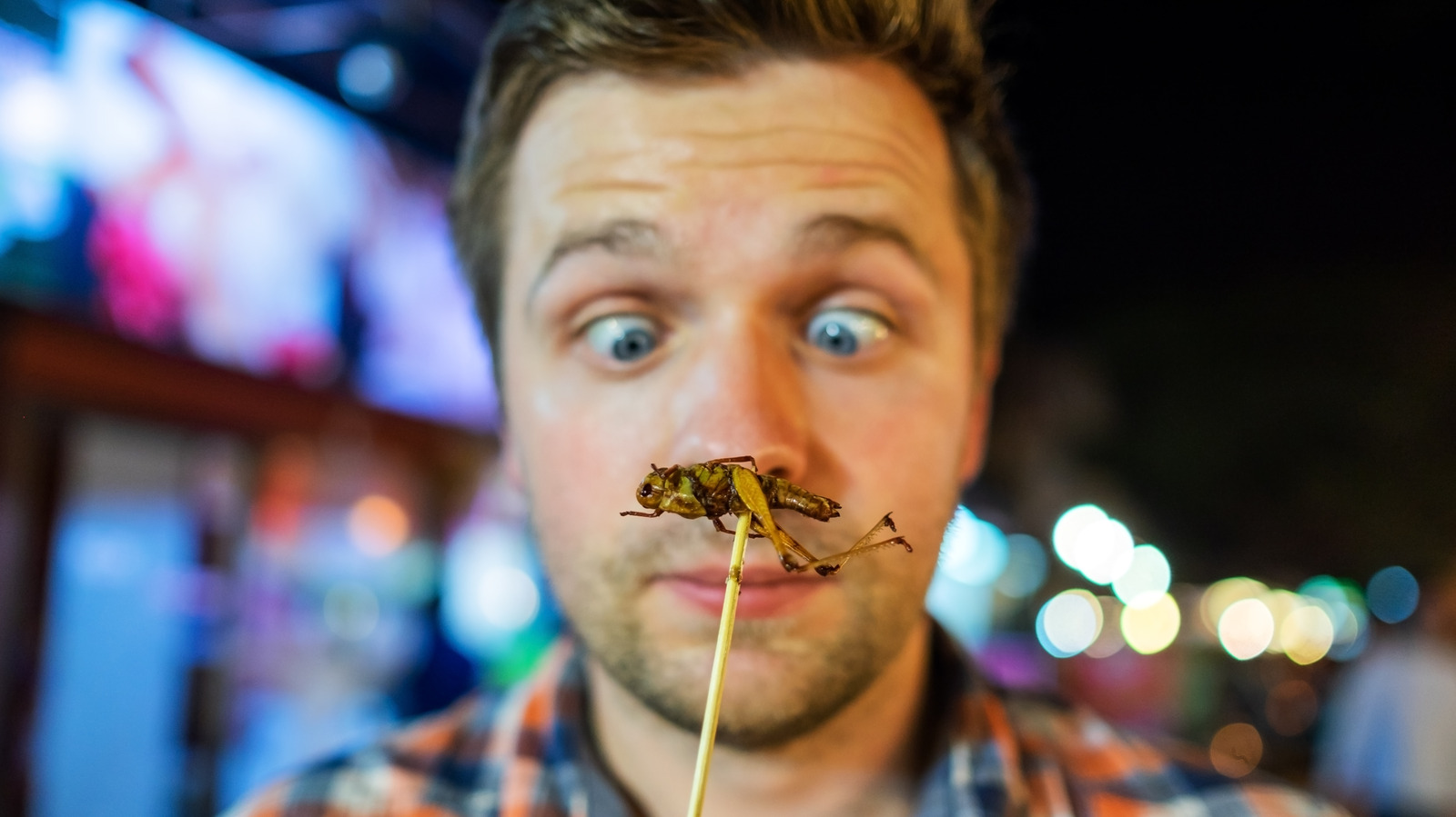 Les scientifiques disent que ces dents anciennes peuvent expliquer pourquoi les humains hésitent tant à manger des insectes