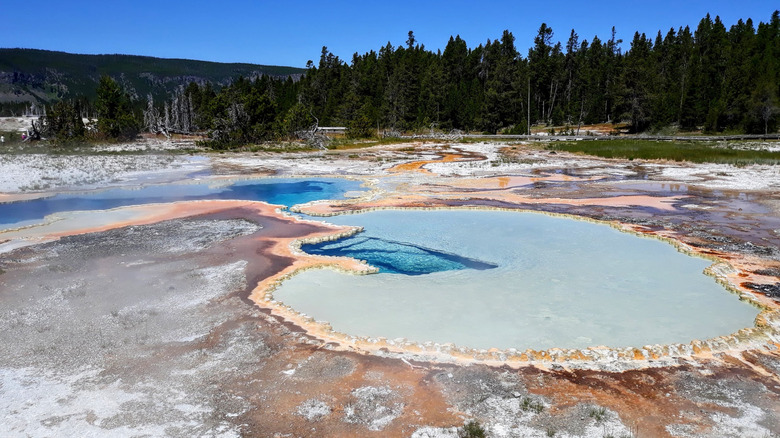 piscines hydrothermales aux couleurs bleu clair et bleu foncé, arbres à feuilles persistantes et ciel en arrière-plan