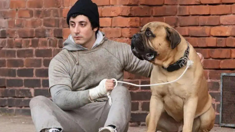 Sylvester Stallone dans le rôle de Rocky emmène Butkus le chien faire une course dans I Play Rocky