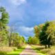 Le sentier pavé le plus long du Michigan s'étend sur 92 milles à travers de petites villes et des forêts