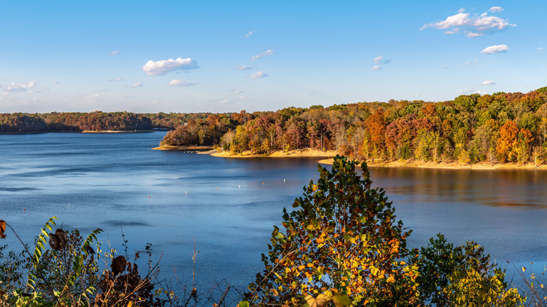 Feuillage d'automne entourant le vaste lac Monroe dans l'Indiana.