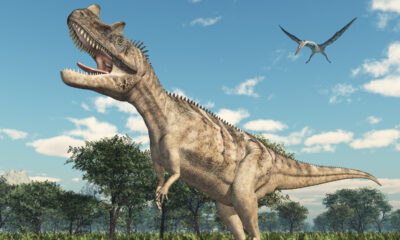 Des scientifiques ont déterré des crottes de dinosaures fossilisés vieilles de 66 millions d'années et ont découvert quelque chose auquel ils ne s'attendaient pas