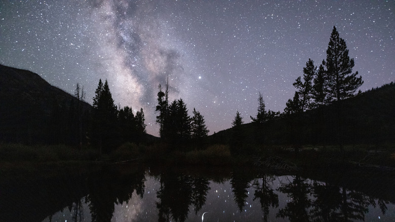 Voie lactée dans le ciel nocturne reflétée dans un étang avec des silhouettes d'arbres