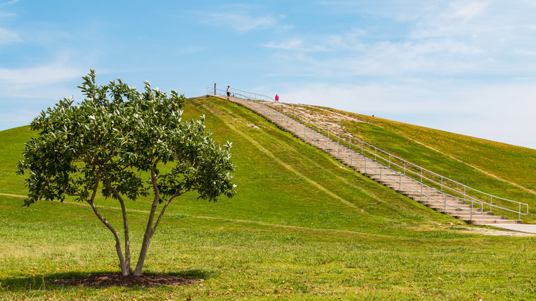 Les marches du mont Trashmore à Virginia Beach