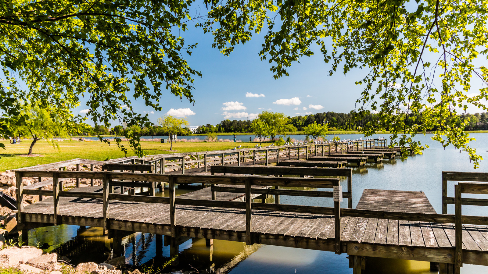 Virginia Beach a transformé une décharge de 640 000 tonnes en un parc de 165 acres avec deux lacs
