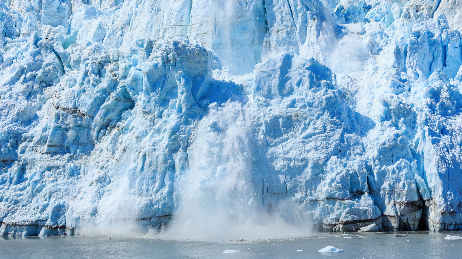 L'animal le plus étrange d'Alaska vit à l'intérieur des glaciers et fond à seulement 40 degrés