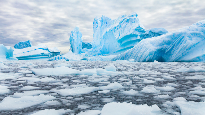 De la glace brisée flotte en Antarctique