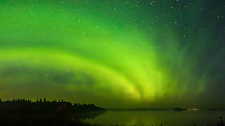 les aurores boréales au parc national Elk Island