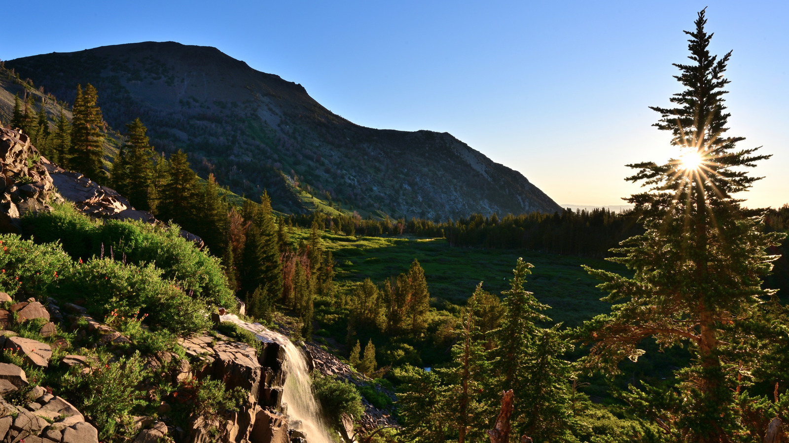Cette forêt nationale sous-estimée de Californie et du Nevada est un paradis extérieur pour la randonnée