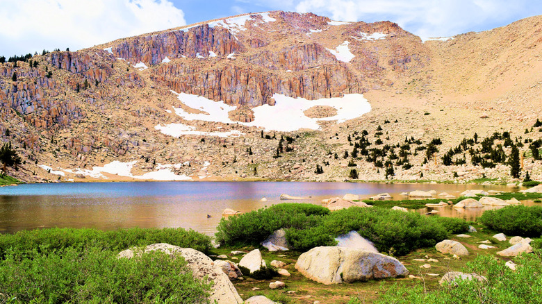 Lac de printemps au poulet