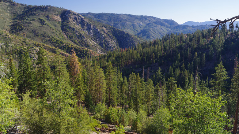 Plateau de Kern dans la forêt nationale de Sequoia