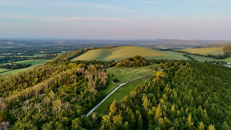 Parc national des South Downs dans le West Sussex en Angleterre