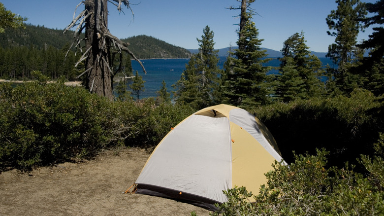 Une tente de camping installée au bord du lac Tahoe