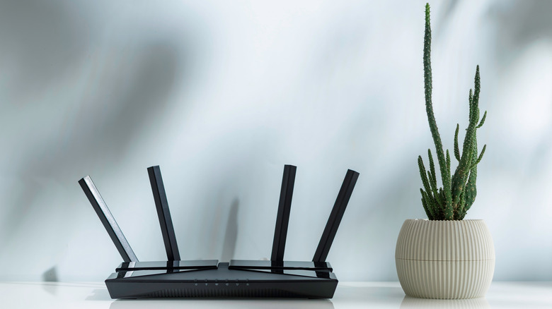 Un routeur Wi-Fi à côté d’un cactus.