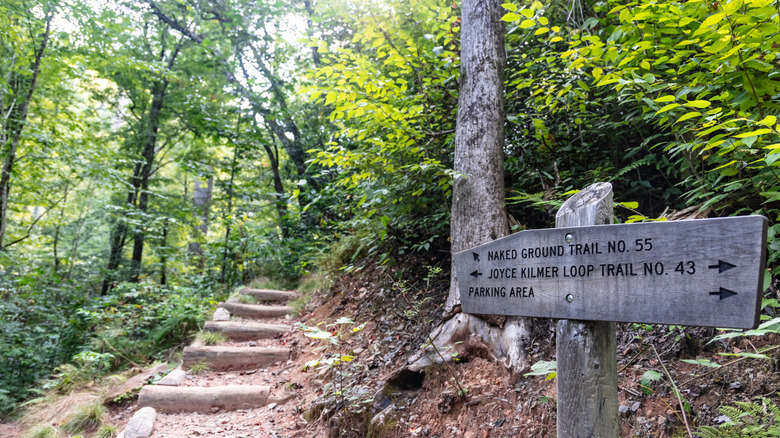 Un panneau de sentier entouré d'arbres dans la forêt commémorative Joyce Kilmer