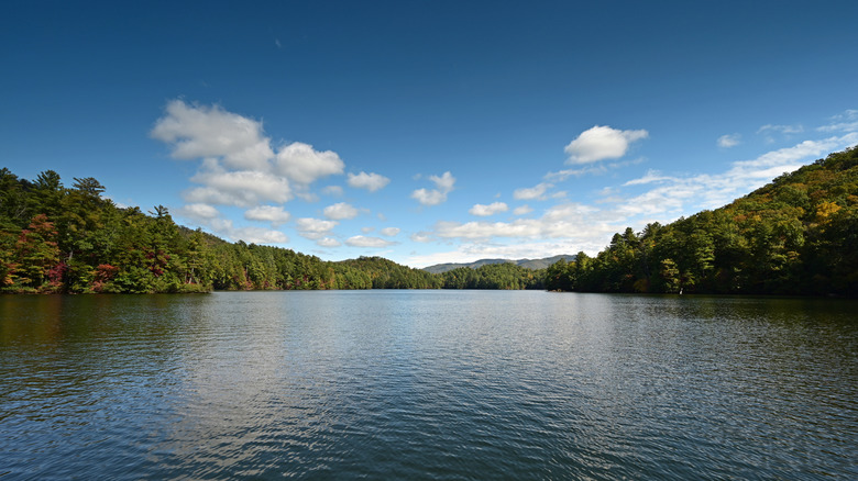 Réflexions sur le lac Santeetlah entouré de forêt