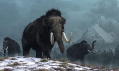 Cette prédiction apocalyptique de l’ère glaciaire ne s’est jamais produite – mais et si c’était le cas ?