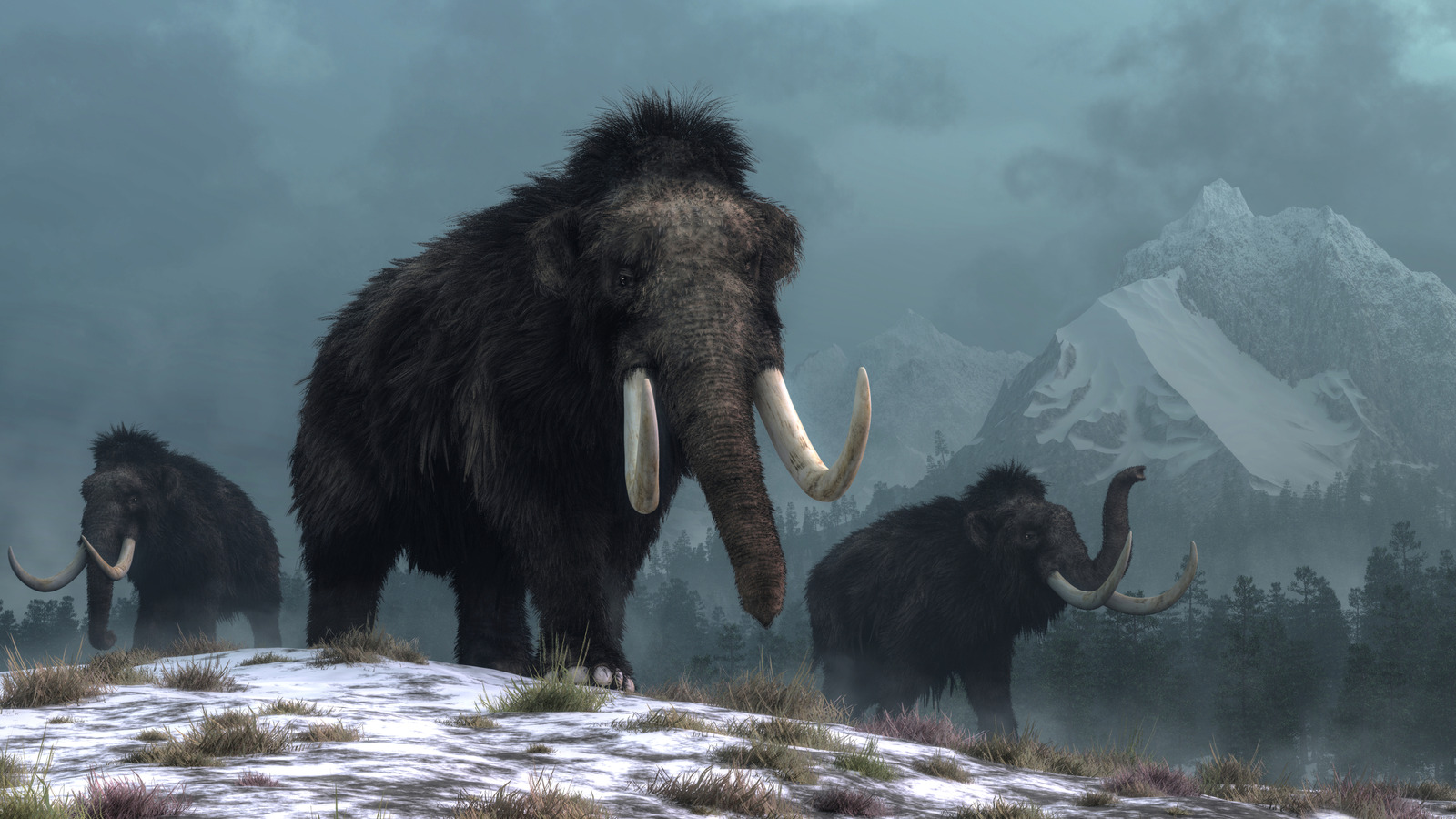 Cette prédiction apocalyptique de l’ère glaciaire ne s’est jamais produite – mais et si c’était le cas ?