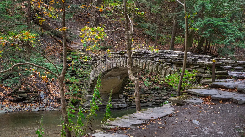 Pont de pierre en automne dans le parc national de Stony Brook