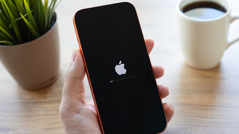 Un iPhone allumé, avec une barre de chargement en dessous, près d'une petite plante en pot et une tasse de café sur une surface en bois