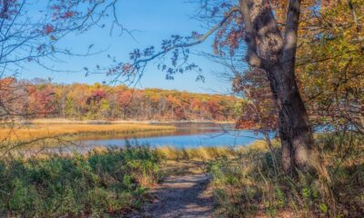 Le plus grand parc public de la ville de New York offre des divertissements familiaux et un feuillage d'automne pittoresque
