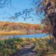 Le plus grand parc public de la ville de New York offre des divertissements familiaux et un feuillage d'automne pittoresque