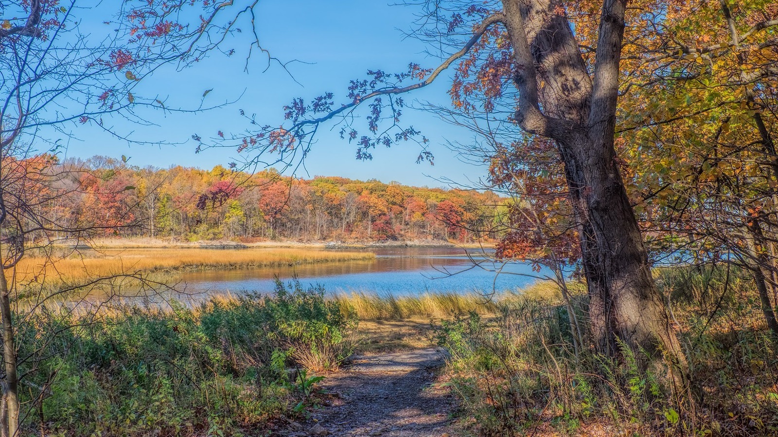 Le plus grand parc public de la ville de New York offre des divertissements familiaux et un feuillage d'automne pittoresque