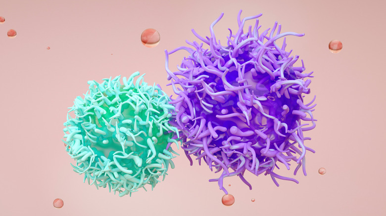 Concept d'un lymphocyte B et d'un lymphocyte T se préparant à produire des anticorps