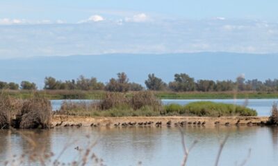 Entre Sacramento et le mont. Shasta est une ville californienne avec un charmant centre-ville et une réserve faunique