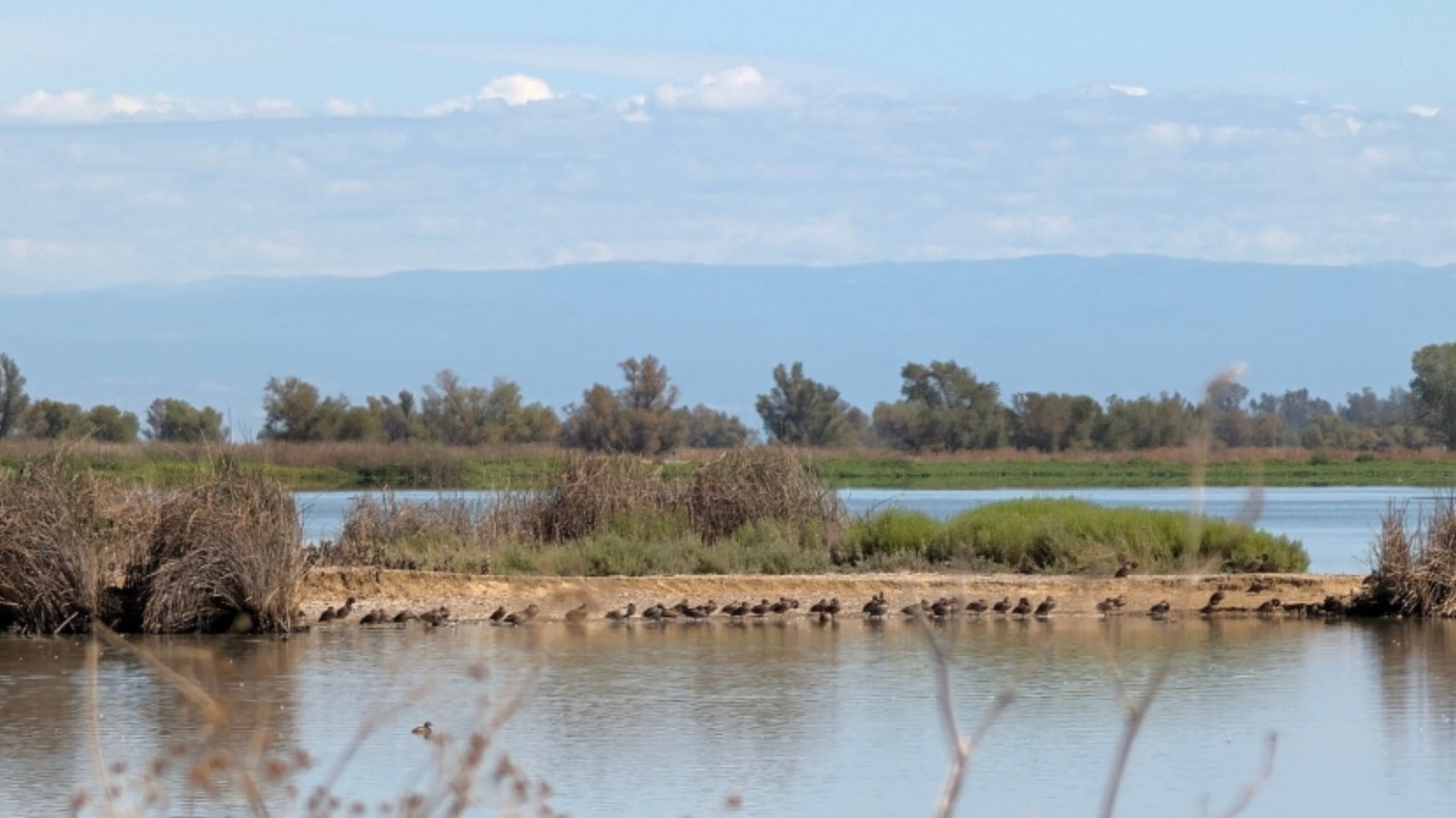 Entre Sacramento et le mont. Shasta est une ville californienne avec un charmant centre-ville et une réserve faunique