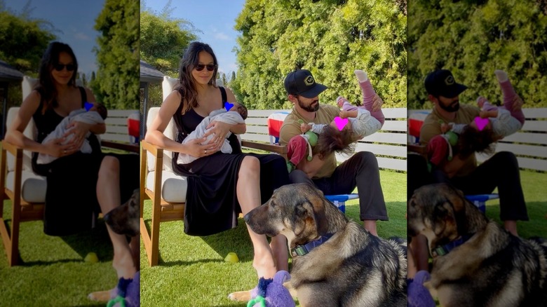 Milo Ventimiglia et Jarah Mariano avec leurs enfants et leur chien
