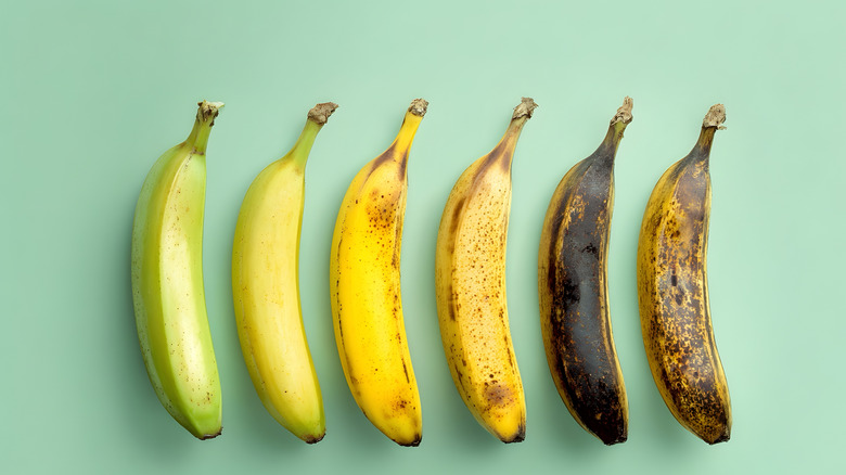 Six bananes sur fond vert, disposées de gauche à droite du vert au extrêmement mûr