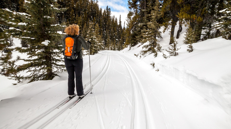 sentiers de ski de fond dans le parc provincial Peter Lougheed